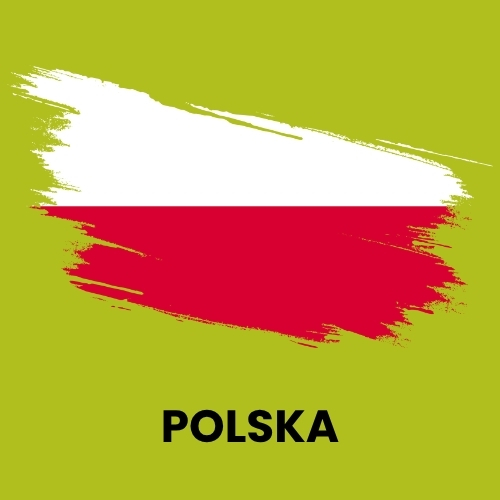 MAPA Producent domów szkieletowych - Koszalin, ul. Gnieźnieńska 190