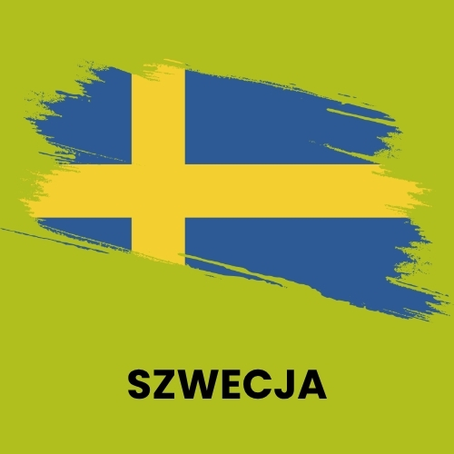 MAPA Producent domów szkieletowych - budujemy w całej Europie - Koszalin, ul. Gnieźnieńska 190